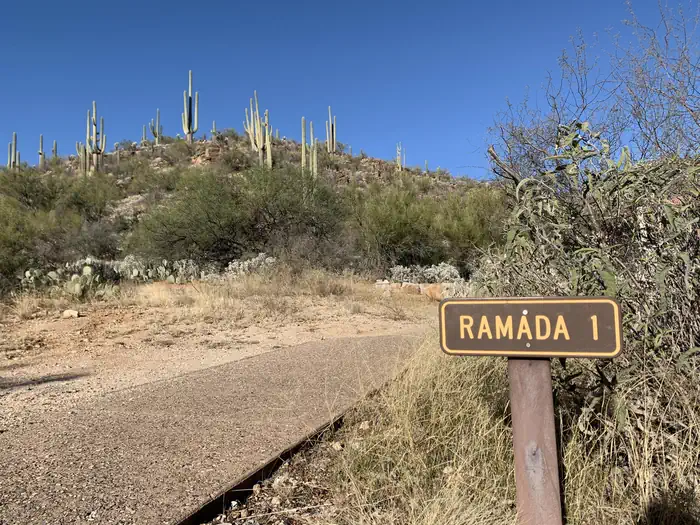 Sabino Canyon Recreation Area Cactus Ramada 1