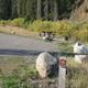 Site 15, campsite surrounded by pine trees, picnic table & fire ringSite 15
