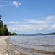Shoreline/beach view with water and tree-lined horizon — useful to show waterfront access and beach area at the campground.