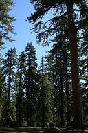 Masterson Group Campground