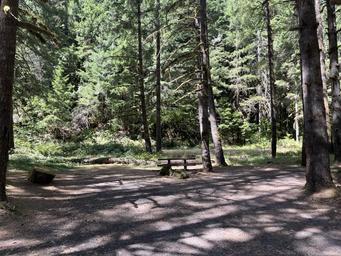 Quartzville Creek Group Camp
