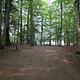 Pete's Lake Campground Site