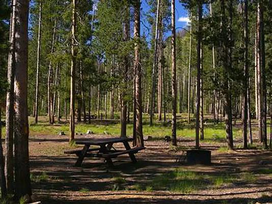 1, Loop: BONANZA CCC GROUP CAMPGROUND