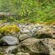 North Fork Beaver Group Camp