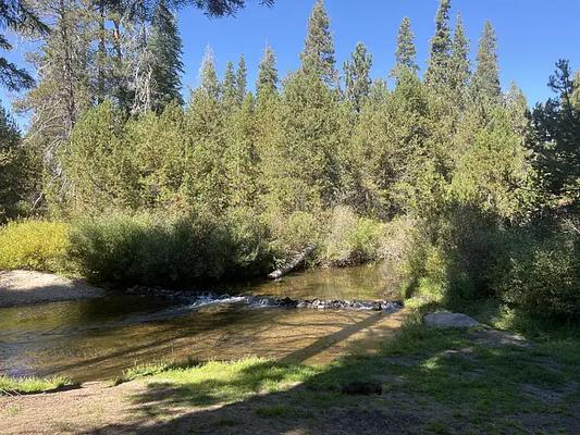 1, Loop: AREA SILVER CREEK GROUP CAMPGROUND