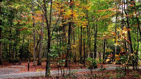 Oak Ridge Campground