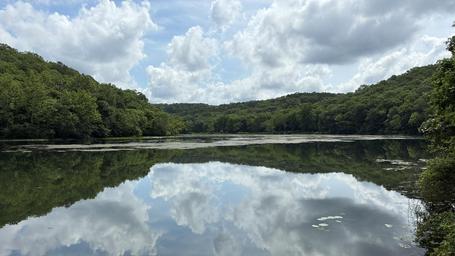 Noblett Lake View
