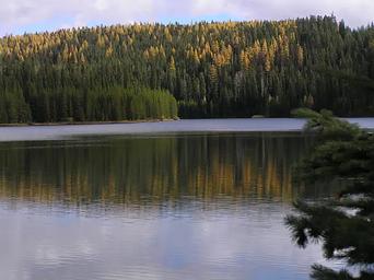 Jubilee Lake E of boat launch