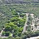 Aerial view of Cottonwood Campground, bright green trees amidst the low desert, riparian area