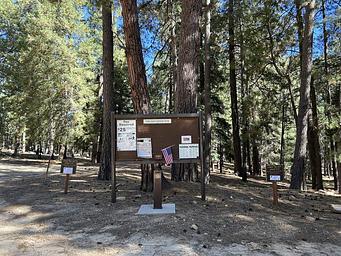 Lower Twilight Group Site, Loop: LOWER TWILIGHT GROUP SITE