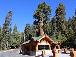 Crystal Springs Campground (CA)