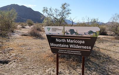 North Maricopa Mountains Wilderness Area
