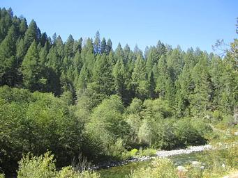 View of North Yuba