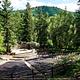 Theater In The Pines 5