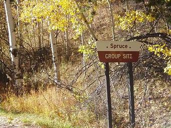 SPRUCE GROUP - LAKE ISABEL