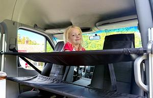 2016 Sprinter - Family & pet adventure van!