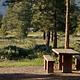 This campground is located in a semi-wooded area with grasses and bushes covering the forest floor.