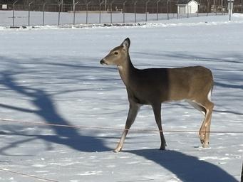 Franklin County Park