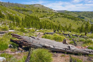 View from trail to lookout