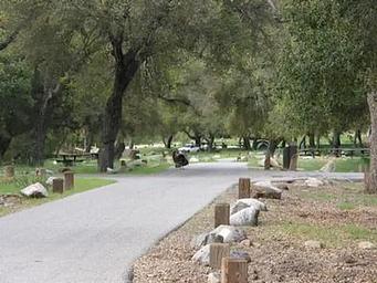 Arroyo Seco
