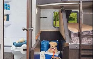 Family & Fido-friendly Travel Trailer Rental