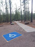 Sharp Creek Handicap-accessible Campsites