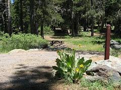 Salmon Creek Campground