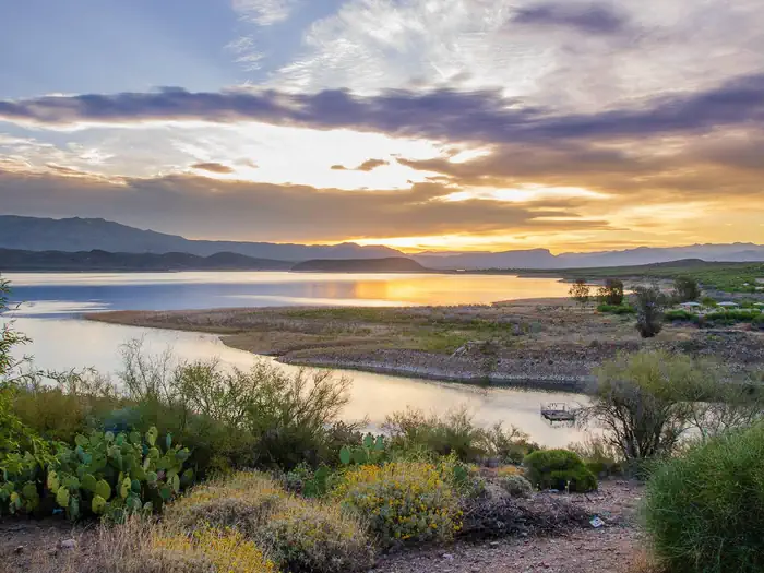 Cholla Campground