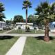 A scenic view of a community with small houses, palm trees, and a grassy area with walkways and outdoor chairs and umbrellas.