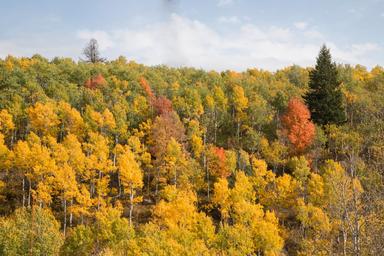 Campspot slideshow image 4