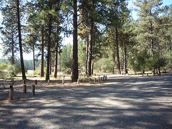 Haag Cove Campground 2