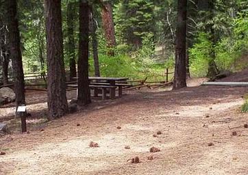 Campsite in Spring Creek Campground surrounded by Ponderosa Pine trees.