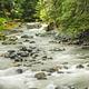 Ohanapecosh River, Mt Rainier National Park