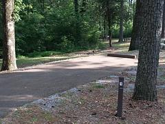 Dub Patton Campground