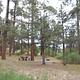 Ute Campground