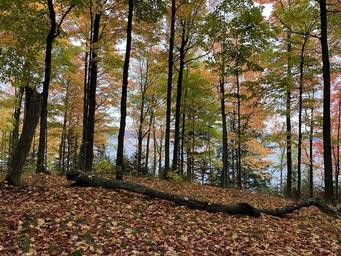 Sylvania Wilderness Backcountry Camping