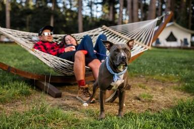 Glamping in Mendocino, California - pet friendly with a dog by his owners in a hammock