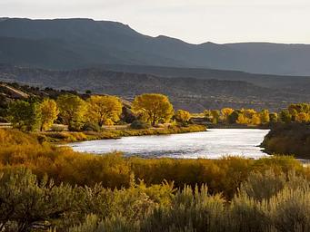 The Green RIver
