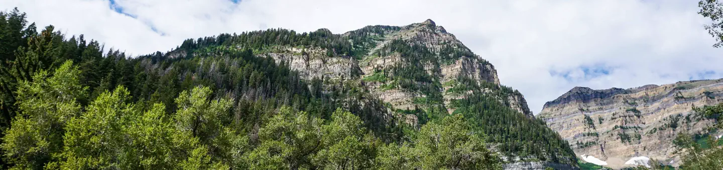 Theater in the Pines