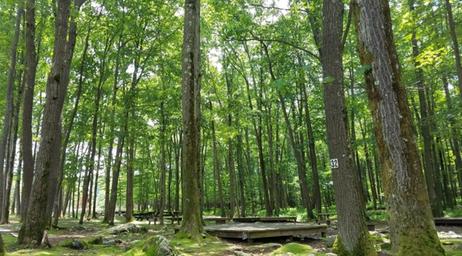 Campspot slideshow image 3