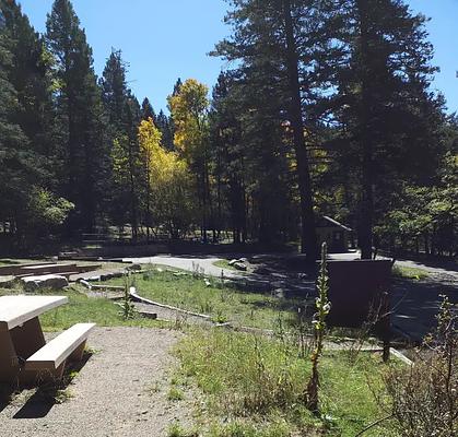 1, Loop: ASPEN