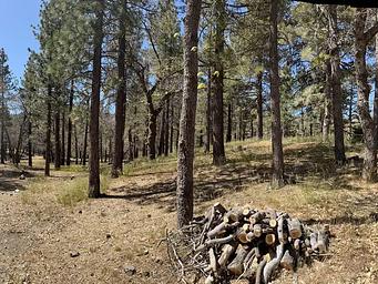 Mountain Oak Campground 2