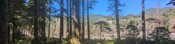 Gold Basin Campground