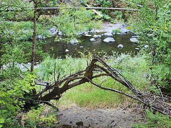Dumont Creek Campground River Access