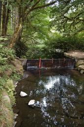 Whittaker Creek Dam