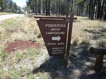 Brown sign for Ponderosa Group Campground with a road and pine trees in the background