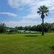 Bayou Campground -A grassy field with a palm tree in the foreground, trees along the edge of a calm river, and a partly cloudy blue sky above.
