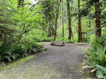 Cascadia County Park