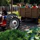 Tractor pulling a wagon of guests across campground grounds — shows on-site activities/family events and campground character.