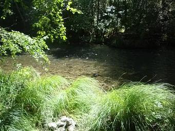 Mad River Campground